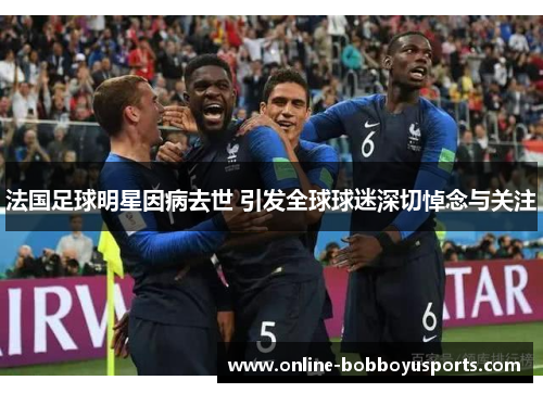 法国足球明星因病去世 引发全球球迷深切悼念与关注