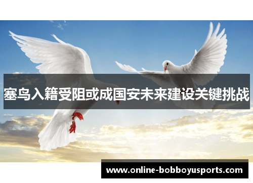 塞鸟入籍受阻或成国安未来建设关键挑战
